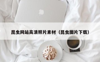 杭州昆虫网站高清照片素材（昆虫图片下载）